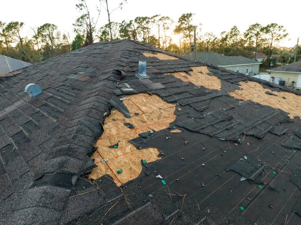 Best Green or Eco-Friendly Roofing Solutions  in Warrenton, MO
