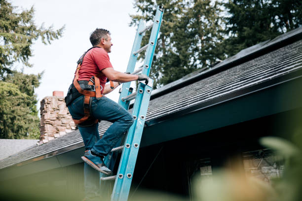 Best Roof Ventilation Installation  in Warrenton, MO